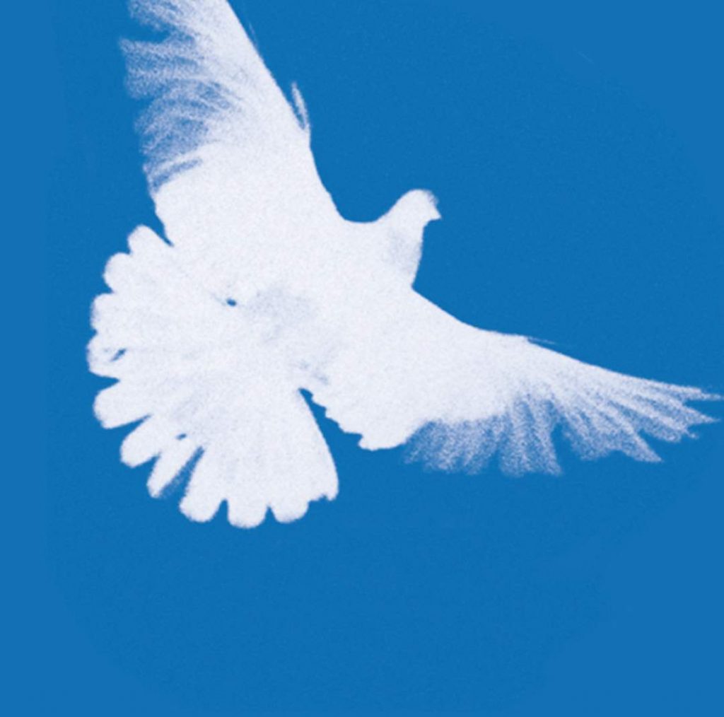 Zum Antikriegstag 2019: Für den Frieden kämpfen!