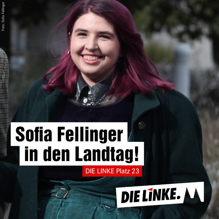 Sofia Fellinger in den Landtag