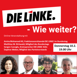 DIE LINKE - Wie weiter?