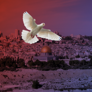 Frieden für Israel und Palästina (Friedenstaube vor dem Panorama der Stadt Jerusalem)